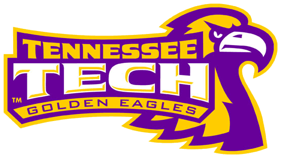 Tennessee Tech Golden Eagles 2006-Pres Alternate Logo v3 DIY iron on transfer (heat transfer)